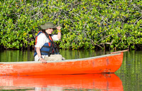 Canoe tour through the estuary