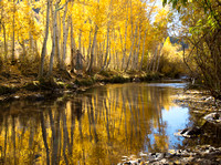 Fishing on Bishop Creek in Fall