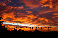 PB~Fiery Sunset over Palms~Stephen Busch