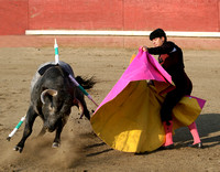 El Matador furls cape to charging bull~Stephen Busch